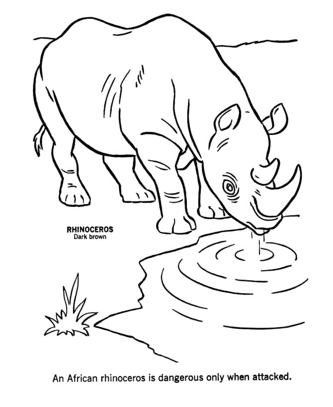 African Rhino coloring page Värityskuva