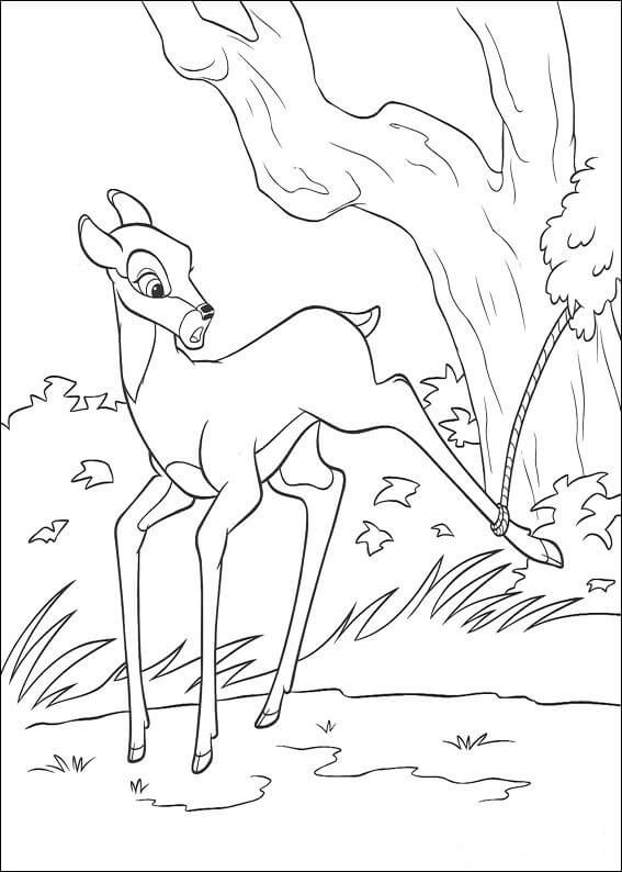 Bambi, joka on loukussa Värityskuva