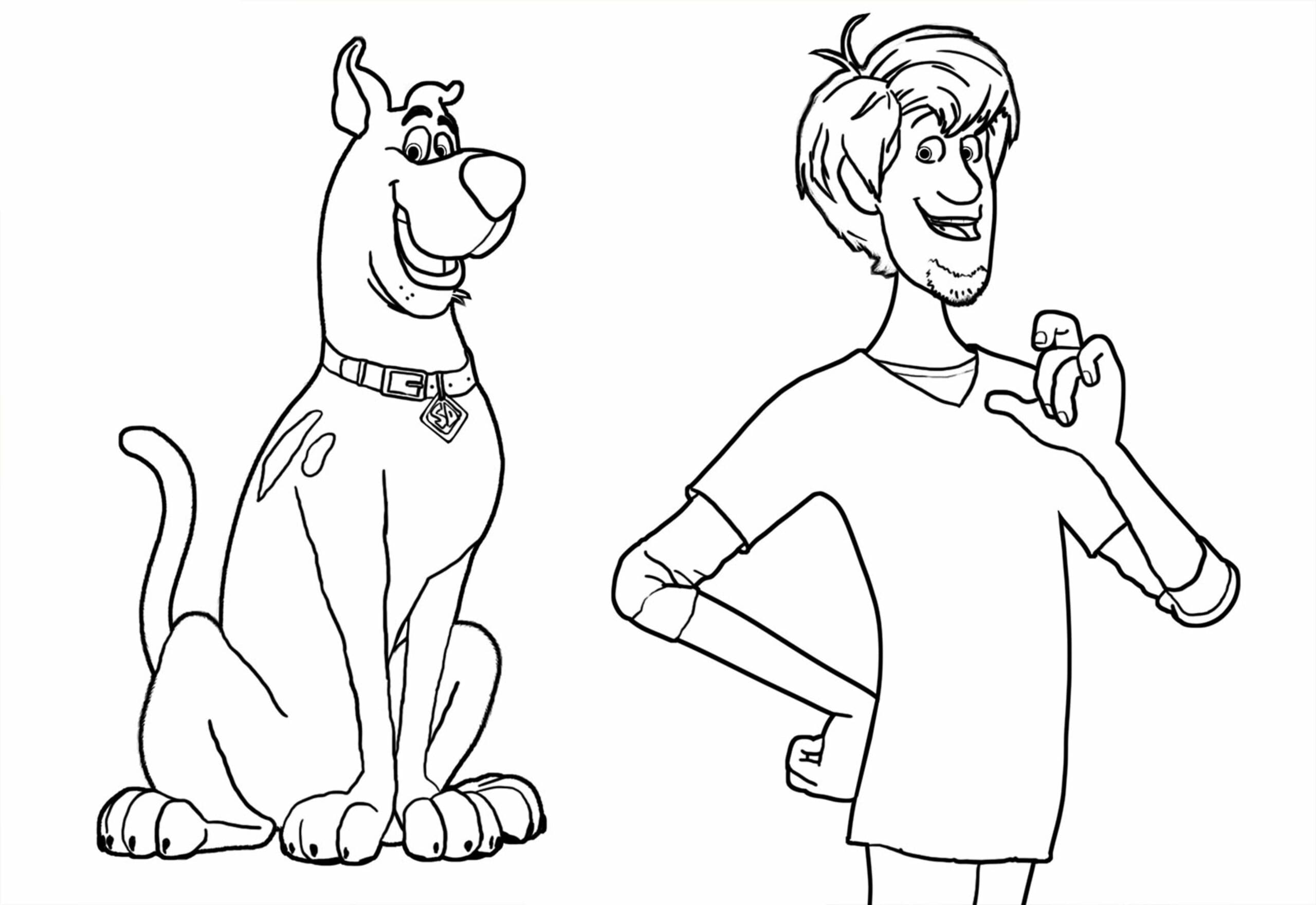 Hauska Shaggy ja Scooby Doo Värityskuva