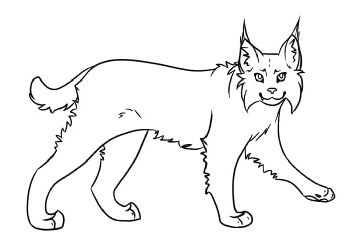 Ilves coloring page