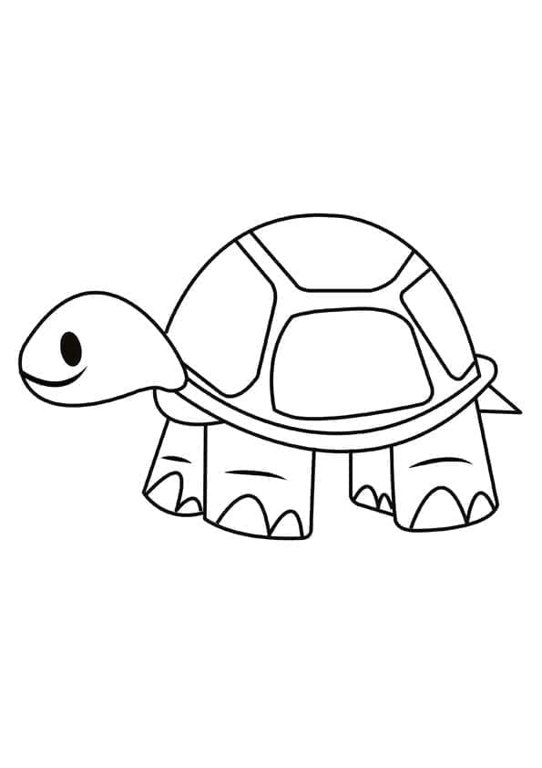 Kilpikonnat coloring page