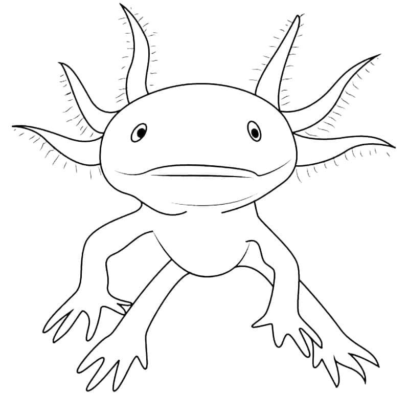 Axolotlin piirros Värityskuva