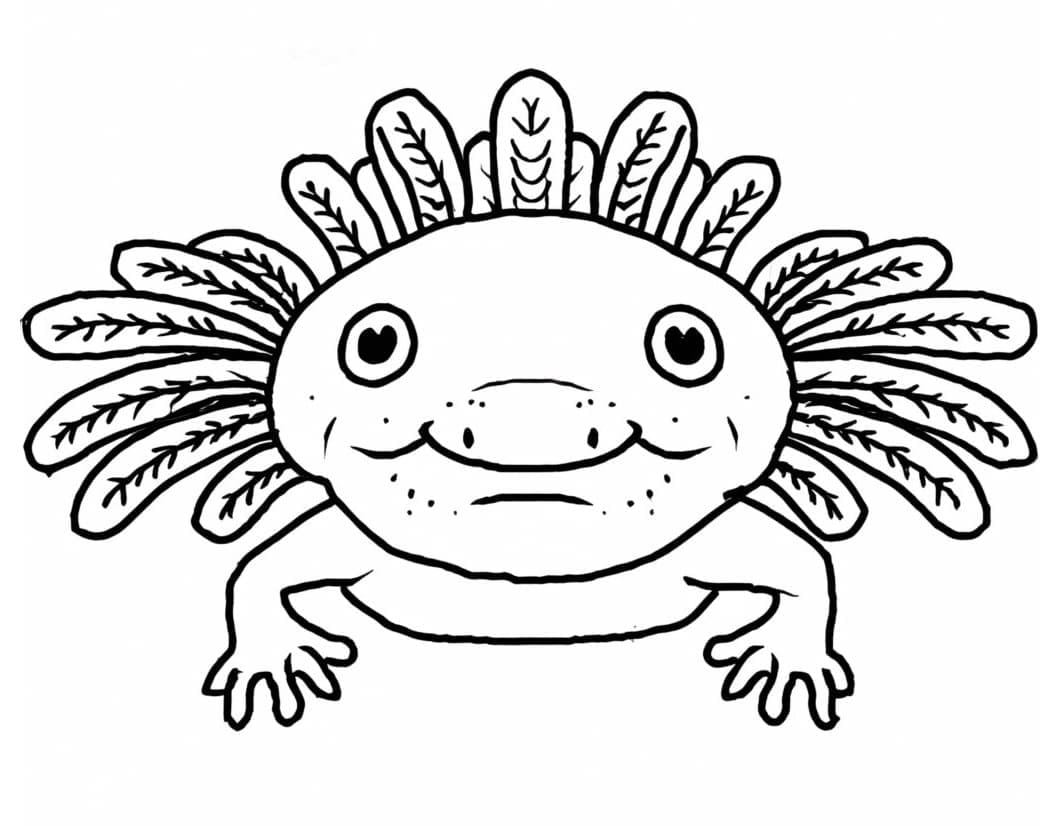 Ruma Axolotl Värityskuva