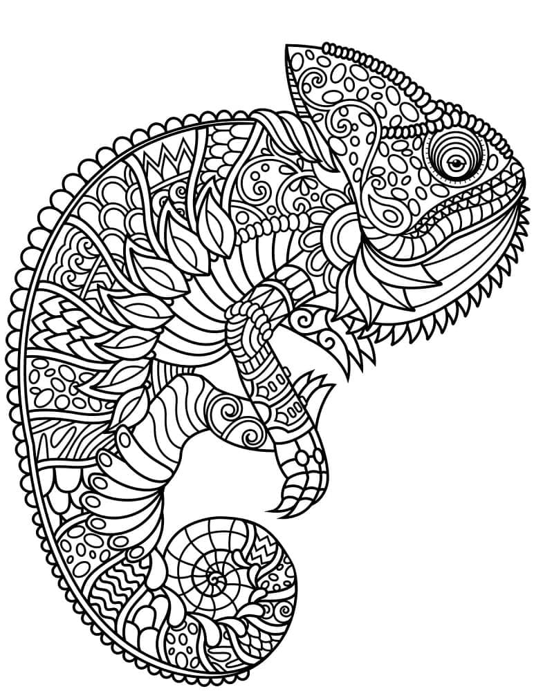 Kameleontti Zentangle Värityskuva