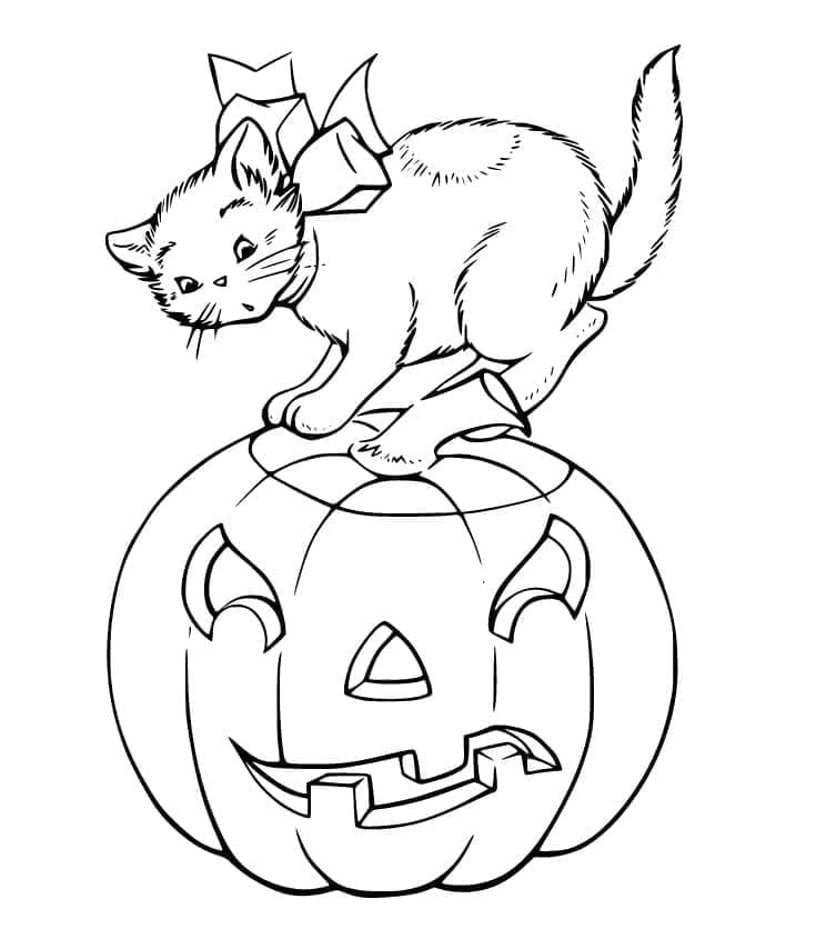 Halloween Kissat coloring page