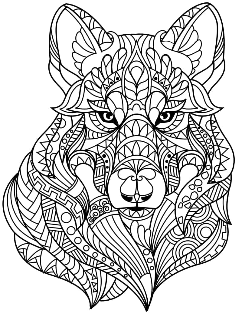 Zentangle susi Värityskuva