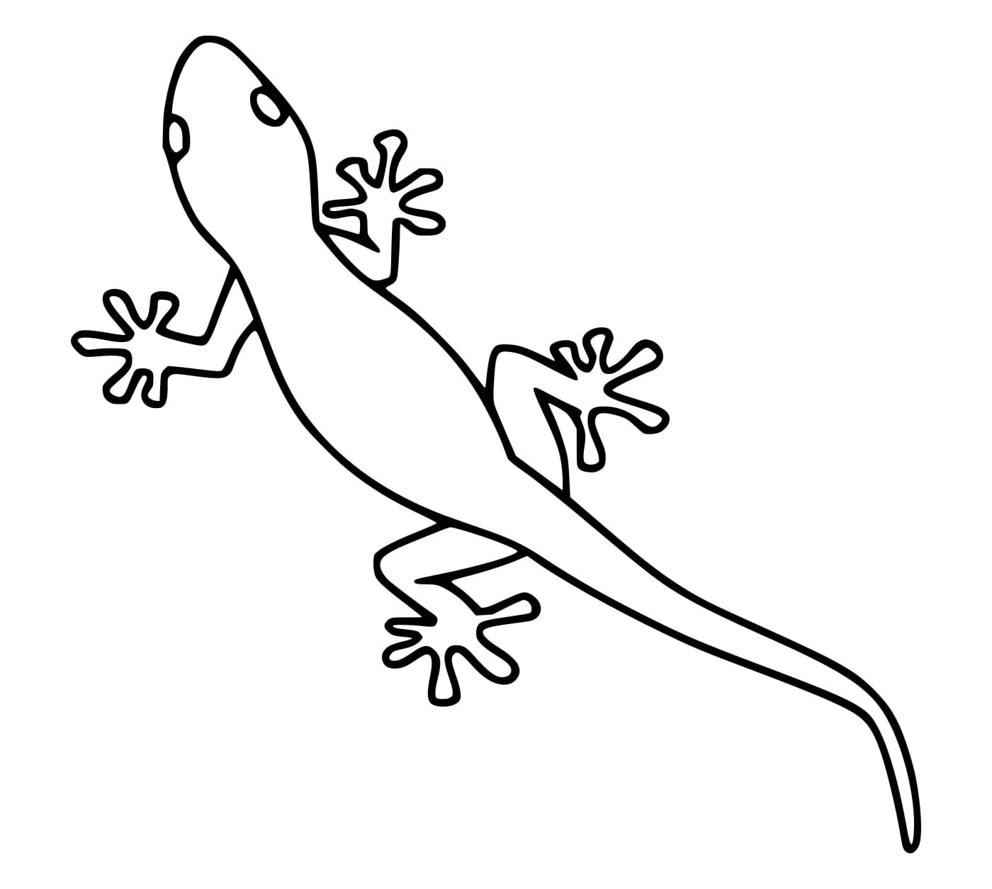 Erittäin yksinkertainen Gecko Värityskuva